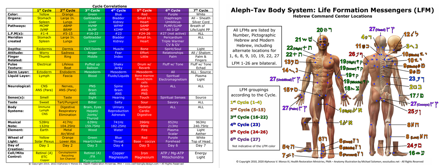 Laminated Charts