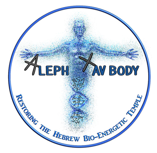 Aleph Tav Body Course 1