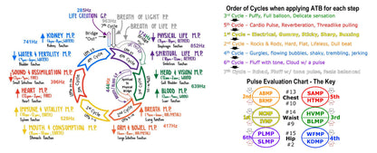 Laminated Charts